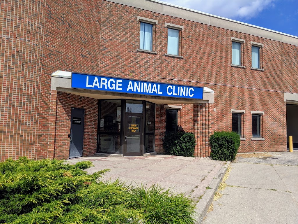 OVC Large animal clinic | OVC, 28 College Ave W, Guelph, ON N1G 2W1, Canada | Phone: (519) 823-8840