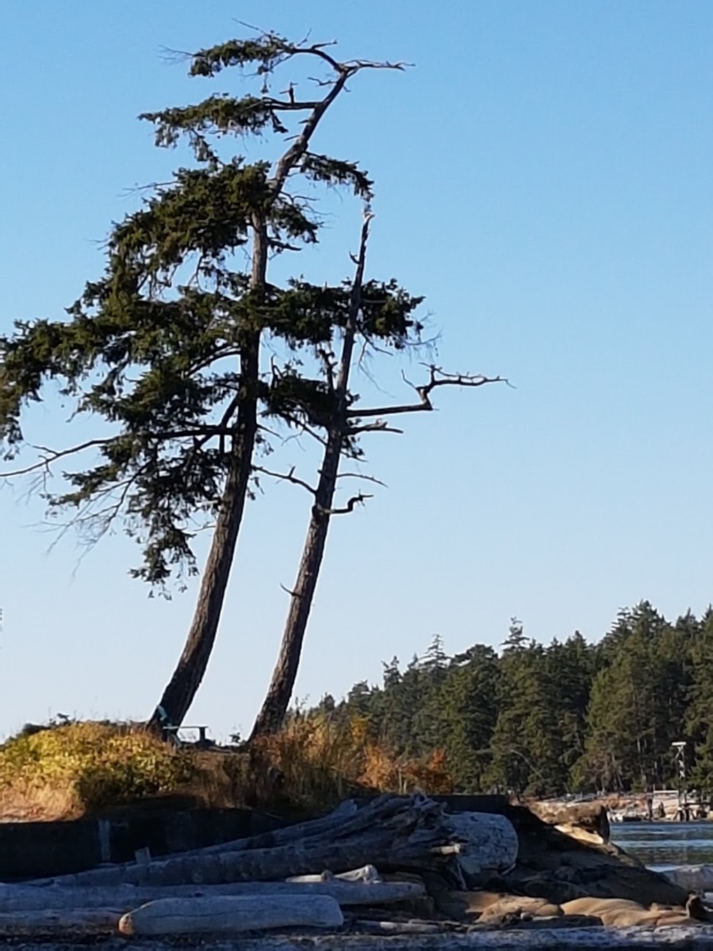 Shore Access 4 | 284 Gulf Drive, Galiano Island, BC V0N 1P0, Canada