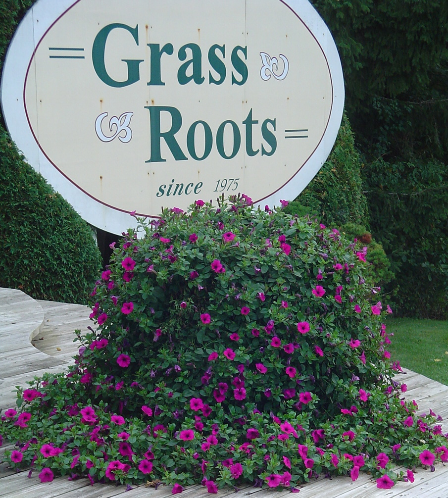 Grass Roots | 8204 ON-93, Tiny, ON L0K 2E1, Canada | Phone: (705) 526-4118