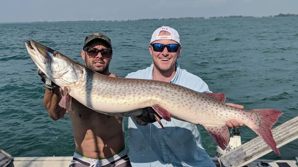 Apex Angling Charters | 1515 Kerr Ave Box 40, Erieau, ON N0P 1N0, Canada | Phone: (519) 401-7681