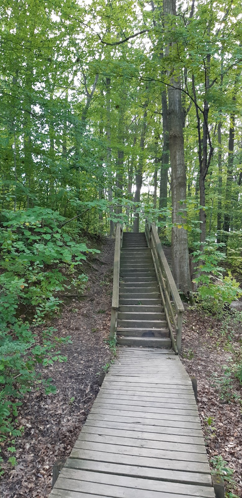 Shaftesbury Park | 85 Downing Crescent, London, ON N6C 3C7, Canada | Phone: (519) 661-5575