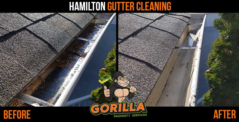 Gorilla Property Services | 2-558 Upper Gage Ave Ste 119, Hamilton, ON L8V 4J6, Canada | Phone: (905) 963-9059