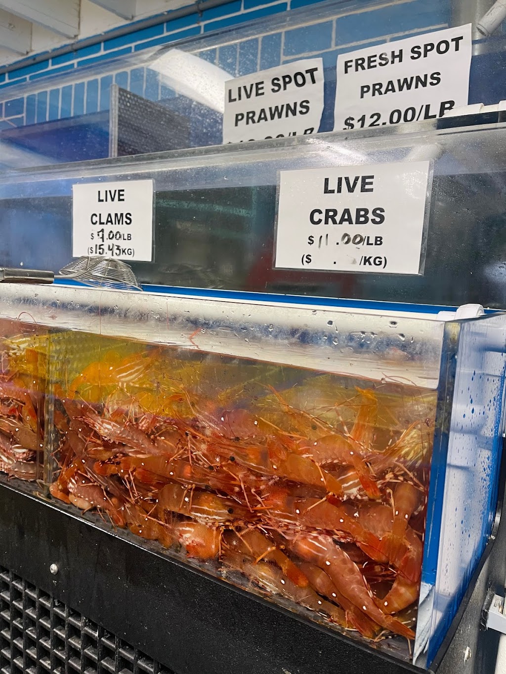 Coldfish Seafood Company Inc | 1670 East Kent Ave S, Vancouver, BC V5P 2S7, Canada | Phone: (888) 989-8789