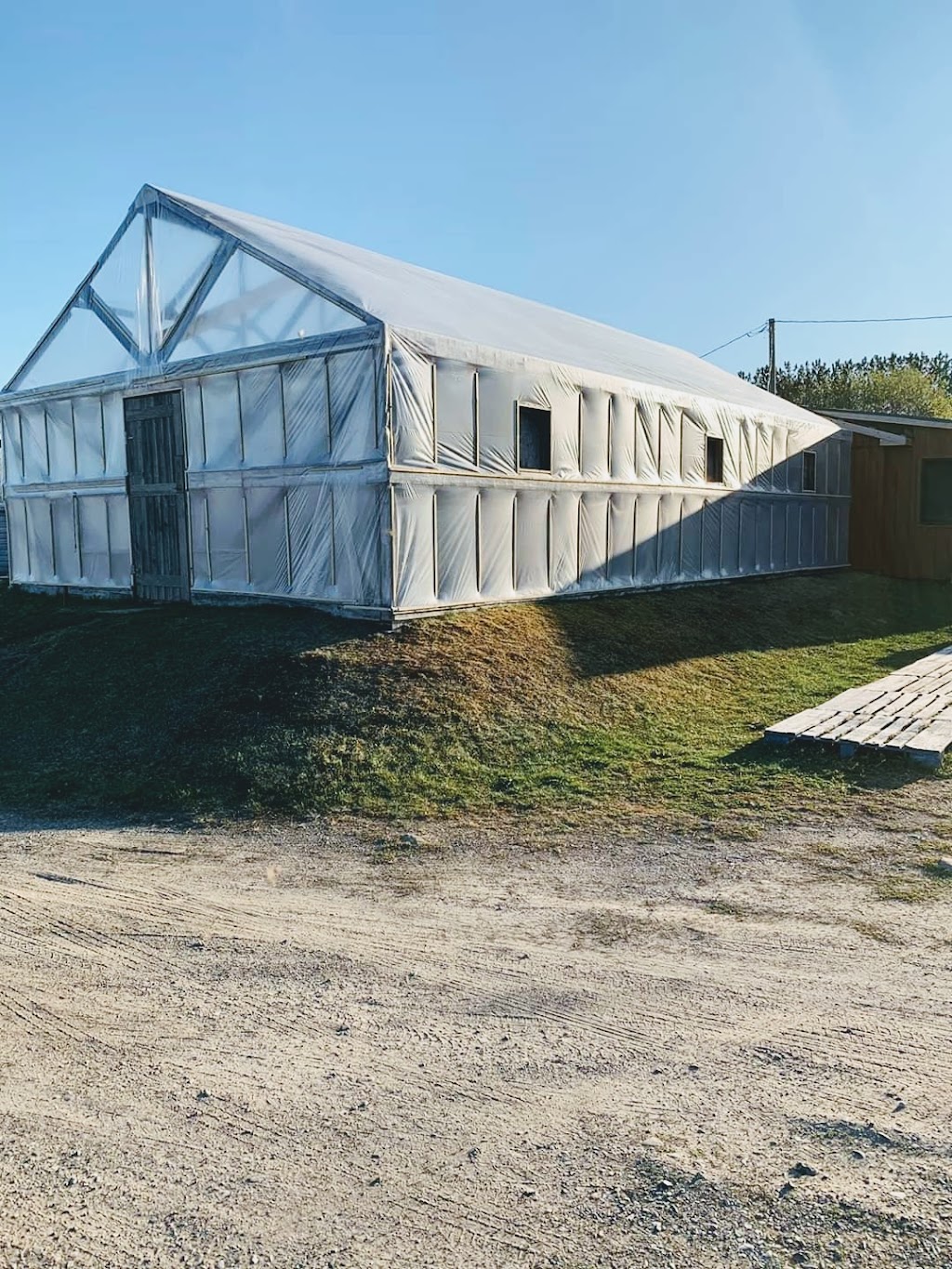 Greenes Garden Patch | 9664 NB-8, Blissfield, NB E9C 1L6, Canada | Phone: (506) 365-0499