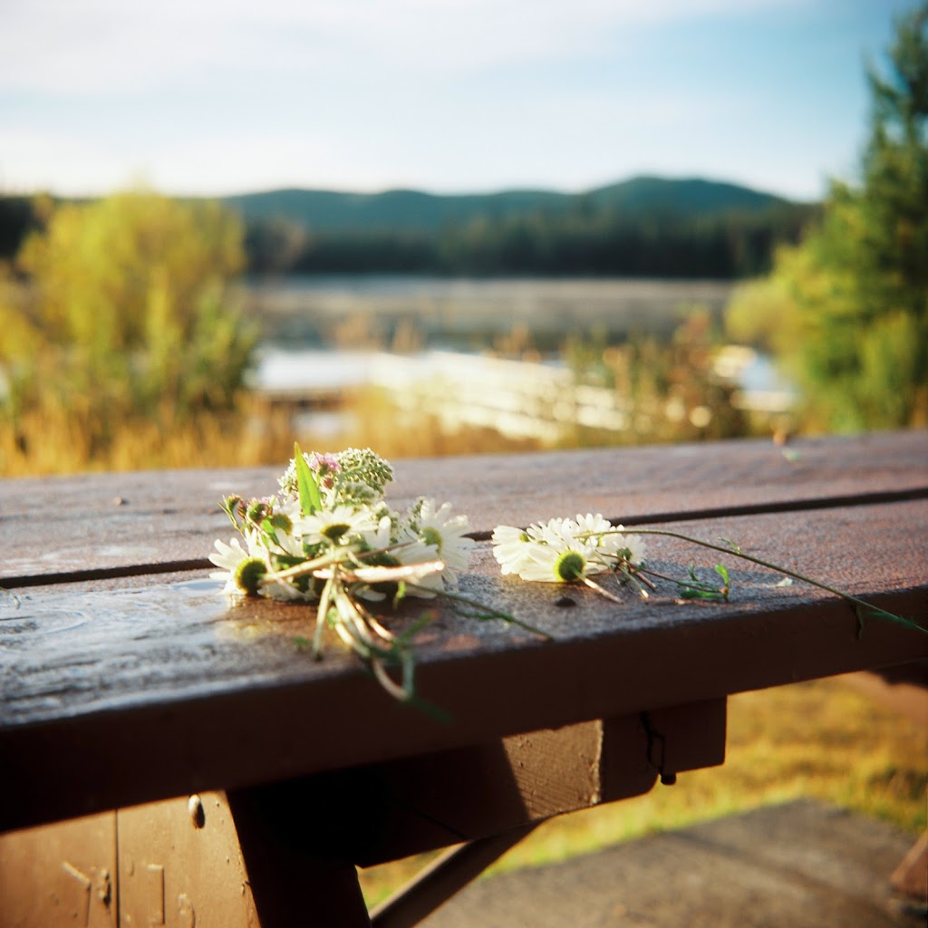 Erin Flegg Photography | 3635 Gibbins Rd, Sahtlam, BC V9L 6E7, Canada | Phone: (778) 996-0551