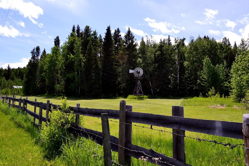 Diane Richardson CIR Realty | 703 64 Ave SE #130, Calgary, AB T2H 2C3, Canada | Phone: (403) 397-3706