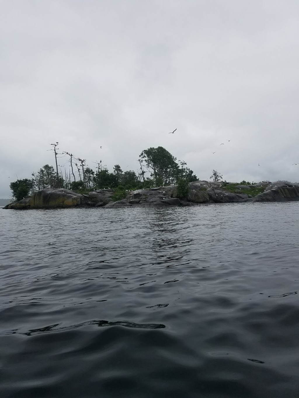 Eleanor Island Bird Sanctuary | Torrance, ON P0C 1M0, Canada