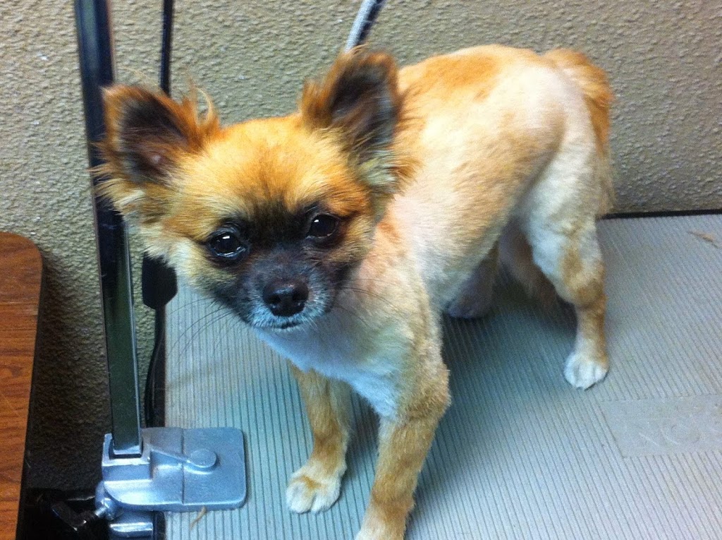 Noahs Ark Pets & Supplies Ltd | 10130 100 Ave, Morinville, AB T8R 1P8, Canada | Phone: (780) 939-2528