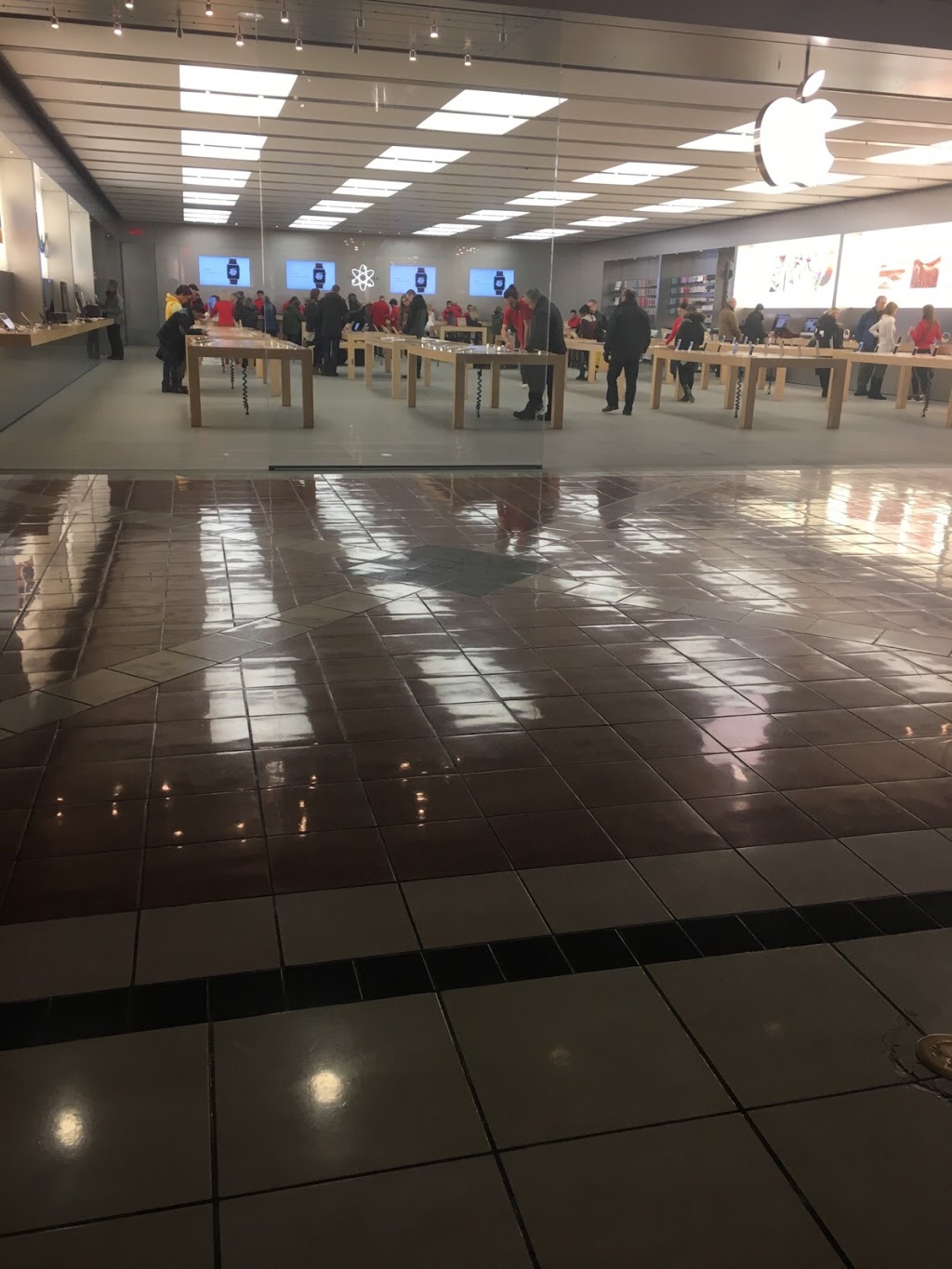 Apple Place Ste-Foy | 2450 Boulevard Laurier, Québec, QC G1V 2L1, Canada | Phone: (418) 266-8600