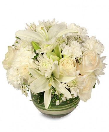 TL Yorke Floral Design | 8 Oland Crescent, Halifax, NS B3S 1C6, Canada | Phone: (902) 450-0101