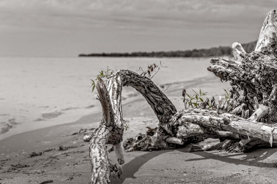 Playthepoint Inc. | 5 Beach Ave, Port Rowan, ON N0E 1M0, Canada | Phone: (905) 407-7529