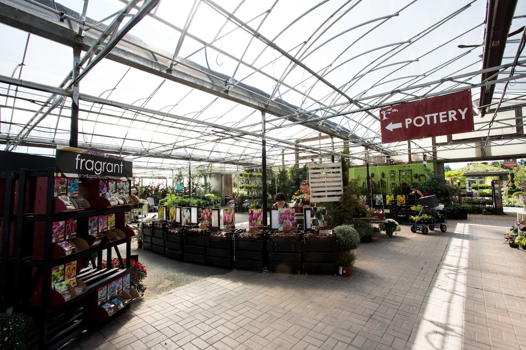 Cedar Rim Nursery Ltd | 7024 Glover Rd, Langley Twp, BC V2Y 2R1, Canada | Phone: (604) 888-4491