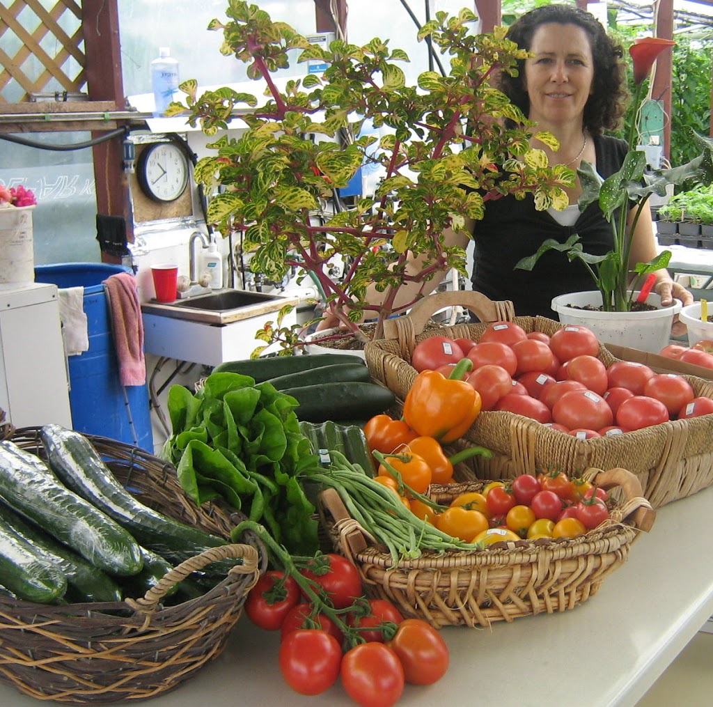 Les Serres Ariane | 537 2e Rang E, Saint-Joachim-de-Shefford, QC J0E 2G0, Canada | Phone: (450) 539-4166