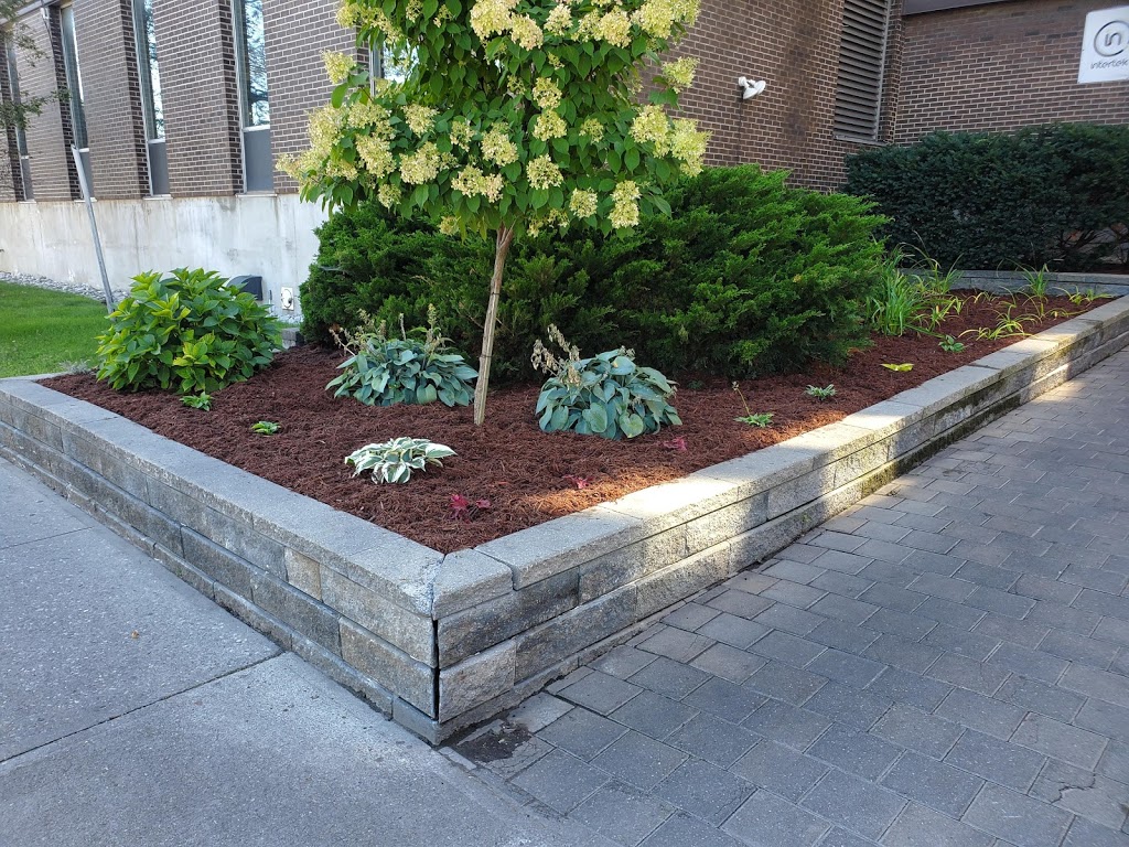BvB Landscape Management | 685 Surrey Ln Unit 1102, Burlington, ON L7T 3Z2, Canada | Phone: (416) 688-6322