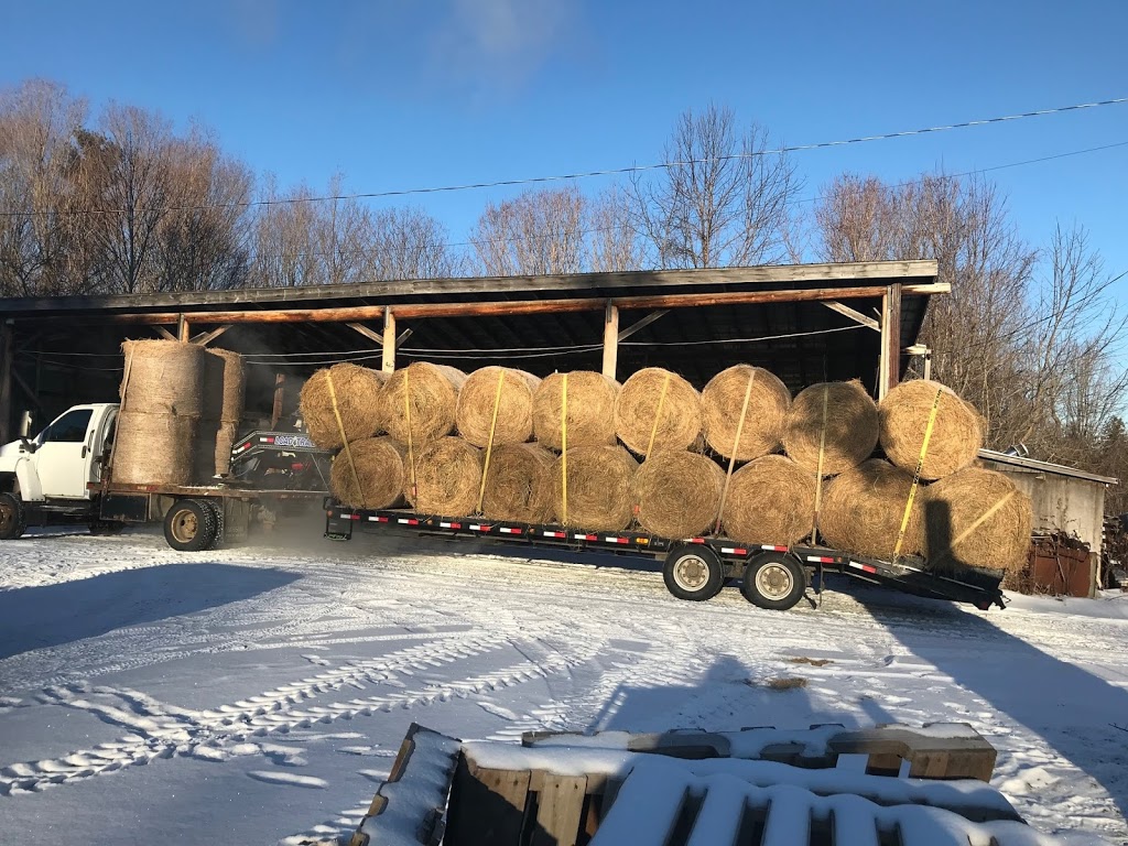 Dobson Trucking | 1207 10 Line N, Hawkestone, ON L0L 1T0, Canada | Phone: (705) 323-2062