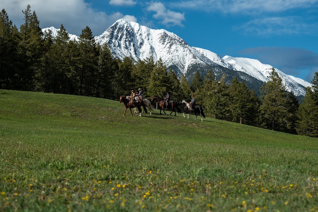 Freedom Equine Association | 4344 Fenwick Rd, Wardner, BC V0B 2J0, Canada | Phone: (250) 430-2233
