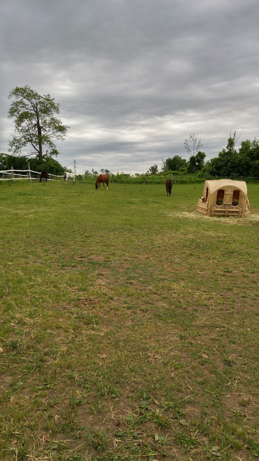 C-Bar Farms | 4314 Victoria Rd S, Puslinch, ON N1H 6H7, Canada | Phone: (519) 763-3871