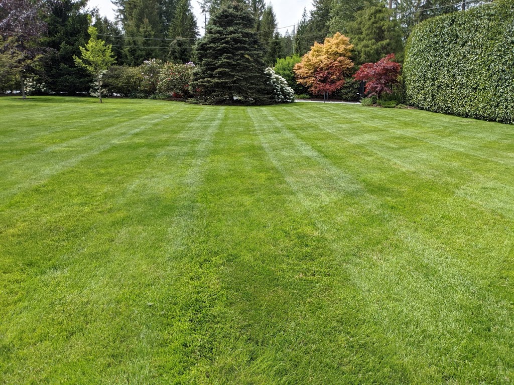 Keep it Green | 8792 Goundrey St, Mission, BC V2V 6Y5, Canada | Phone: (604) 302-8356