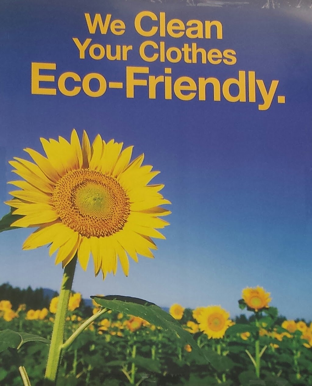 Vadiant Cleaners | 1230 Simcoe St N, Oshawa, ON L1G 4X3, Canada | Phone: (905) 728-1991