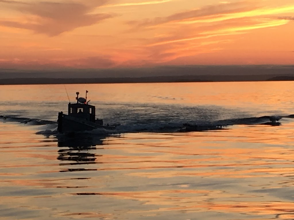 Trident Marine Services Inc | 18 Little Tancook Island Rd, Little Tancook, NS B0J 2B0, Canada | Phone: (902) 973-1333