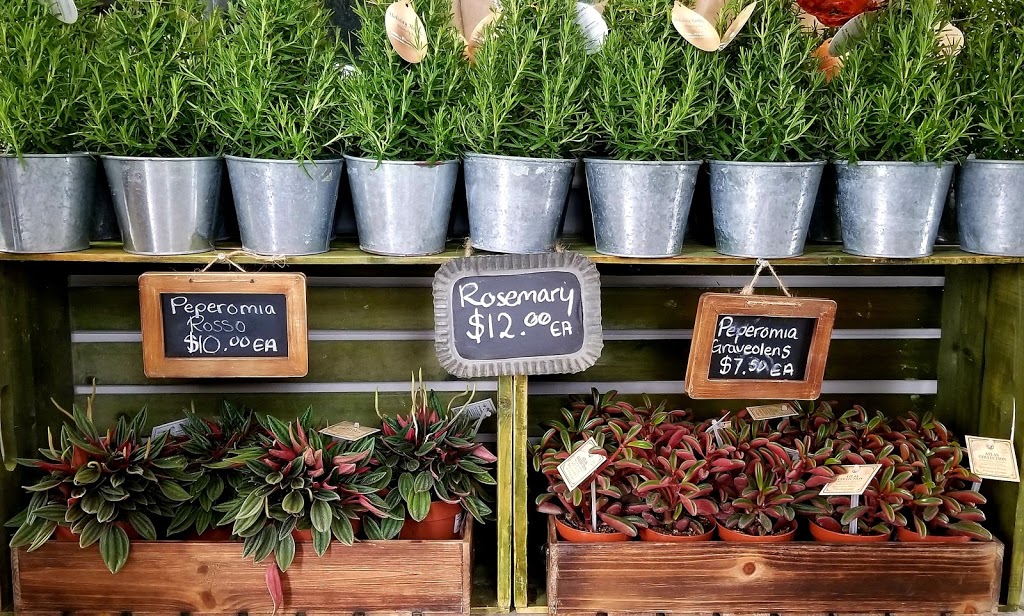 Bloom Field Floral and Garden Centre | 3745 Durham Regional Hwy 2, Newcastle, ON L1B 0R2, Canada | Phone: (905) 987-5664