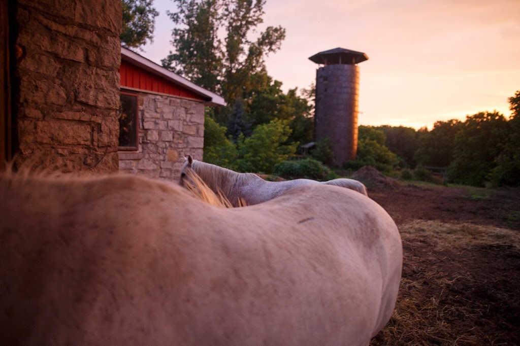 Manorun Organic Farm | 782 Hamilton Regional Rd 52, Lynden, ON L0R 1T0, Canada | Phone: (905) 648-9608