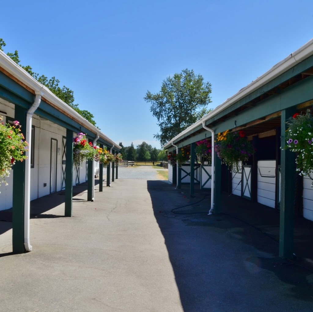 Kleider Veterinary Services | 8036 232 St, Langley City, BC V1M, Canada | Phone: (604) 888-7565