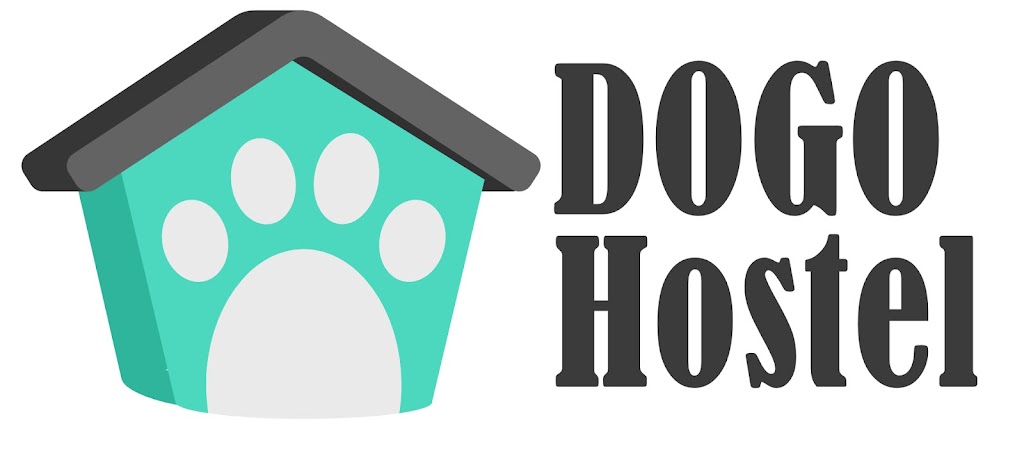 Dogo Hostel | 3450 Bd Sainte-Anne app 106, Québec, QC G1E 3L7, Canada | Phone: (418) 930-9531