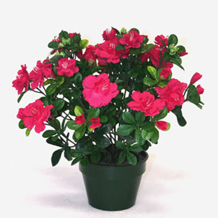 Fleuriste Aux Fleurs du Temps Québec | 1245 Ch Ste-Foy, Québec, QC G1S 4P2, Canada | Phone: (418) 683-3033