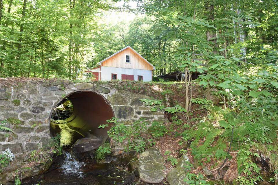 Hi Vue Maples | 178 Stevens Mills Slide Rd, Richford, VT 05476, USA | Phone: (802) 752-8888