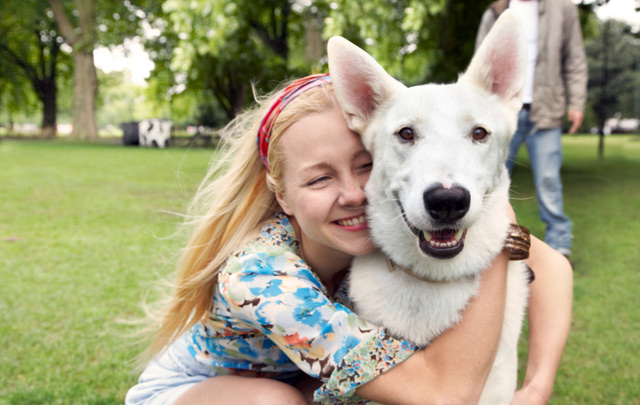 Cormack Animal Clinic | 1617 Cormack Cres, Mississauga, ON L5E 2P8, Canada | Phone: (905) 278-3025