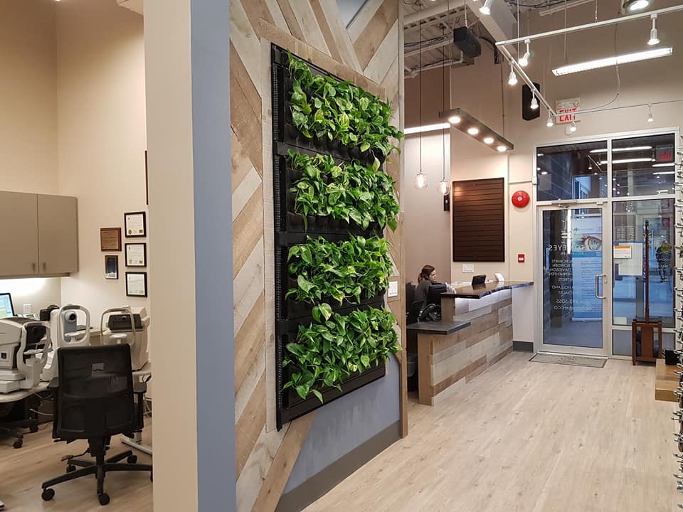 Optomeyes Eye Care - Squamish | 101-40258 Glenalder Pl, Squamish, BC V8B 0G2, Canada | Phone: (604) 892-5055