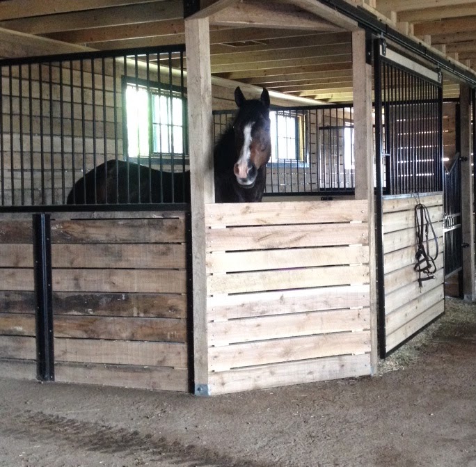 Meadowlarke Stables | 5154 3 Line, Acton, ON L7J 2L8, Canada | Phone: (800) 295-0419