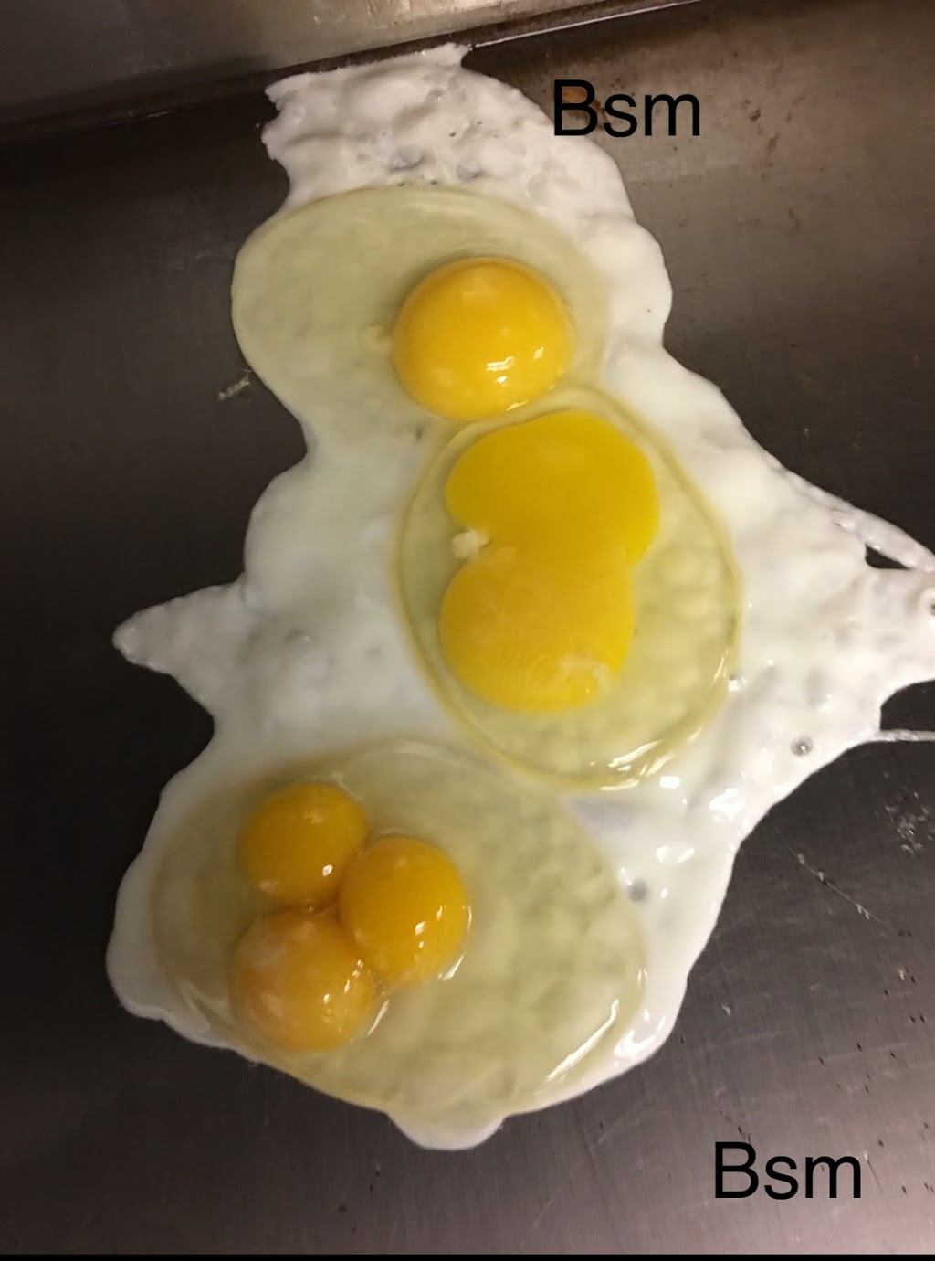Rosemaries Family Restaurant | Shakespeare, ON N0B 2P0, Canada | Phone: (519) 625-8197