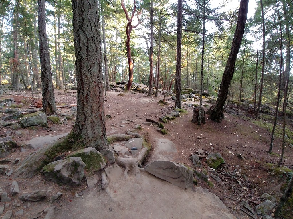 Golf Island Disc Park | 37162-37170 Galleon Way, Pender Island, BC V0N 2M2, Canada | Phone: (250) 629-6494