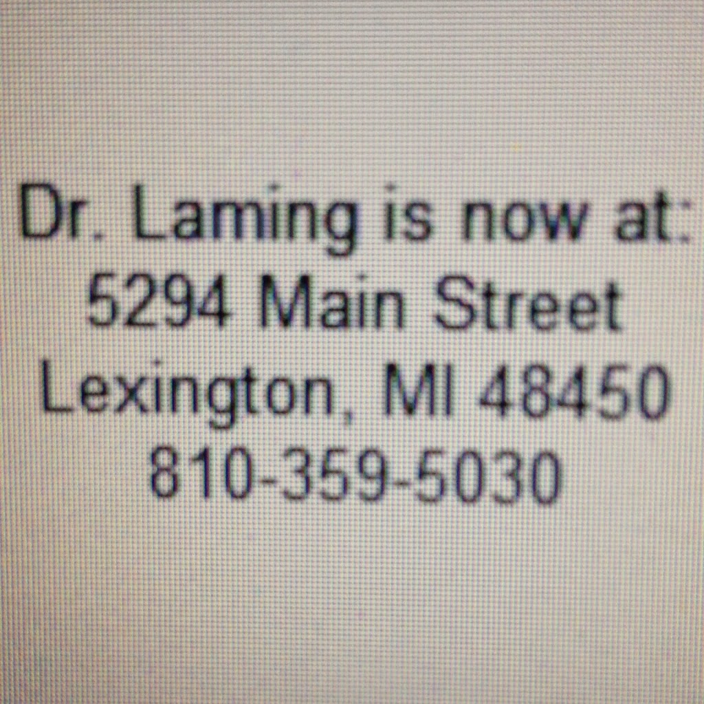 Lexington Family Medicine-Christie Laming, MD | 5294 Main St, Lexington, MI 48450, USA | Phone: (810) 359-5030