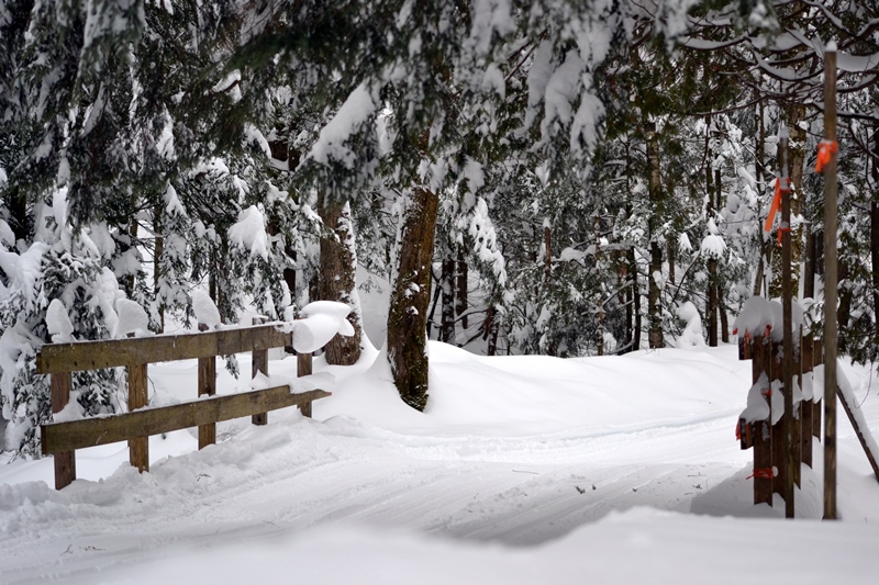 Base Richmond Melbourne Ski Center | 70 Chem. Lay, Melbourne, QC J0B 2B0, Canada | Phone: (819) 826-3869