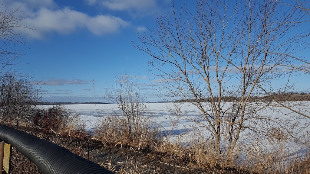 Joe Fowler Park | 57 Water St, Port Perry, ON L9L 1J2, Canada