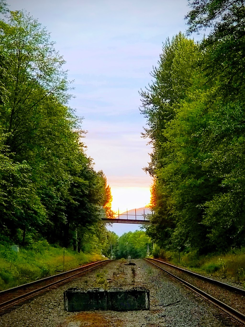 Barnet Marine Park | 8181 Barnet Road, Burnaby, BC V5A 3G8, Canada | Phone: (604) 294-7944