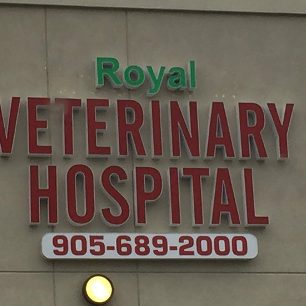 Royal Veterinary Hospital | 100 Dundas St E c8, Waterdown, ON L9H 0C2, Canada | Phone: (905) 689-2000