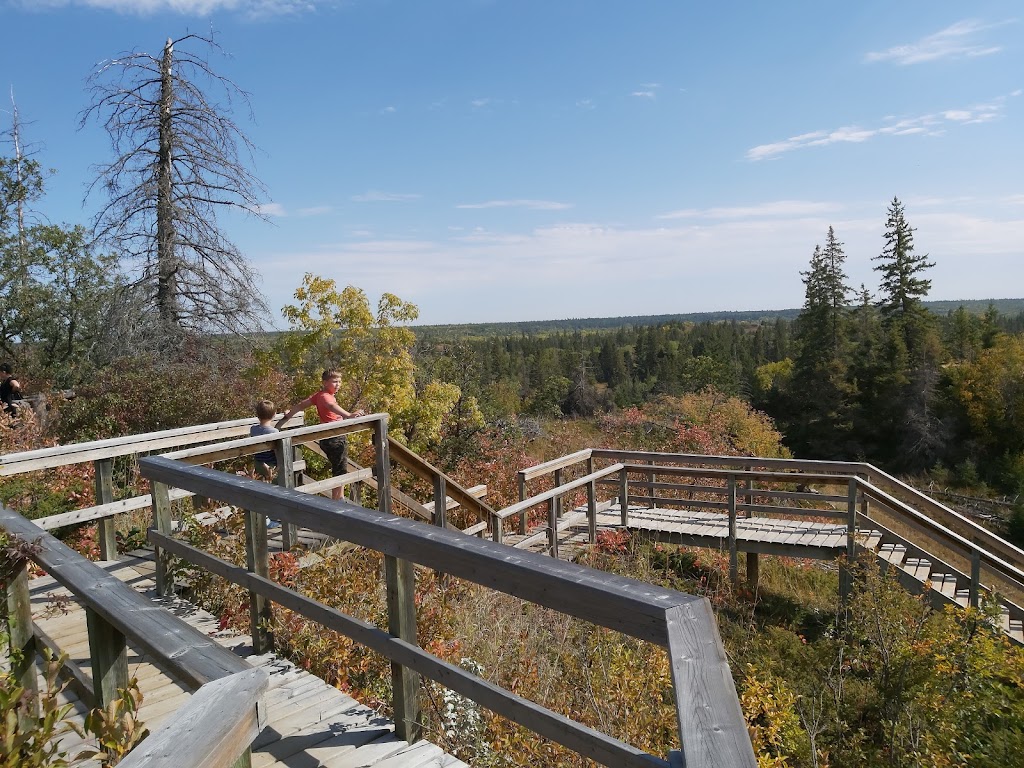 Spruce Woods Provincial Park | Carberry, MB R0K 0H0, Canada | Phone: (204) 827-8850