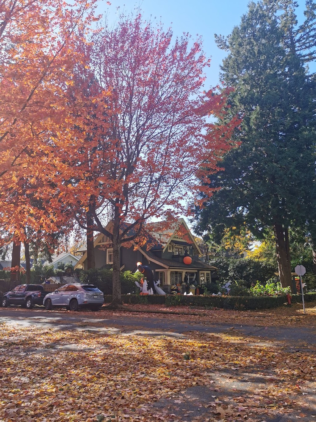 McBride Park | 3350 W 4th Ave, Vancouver, BC V6R 1N6, Canada | Phone: (604) 873-7000