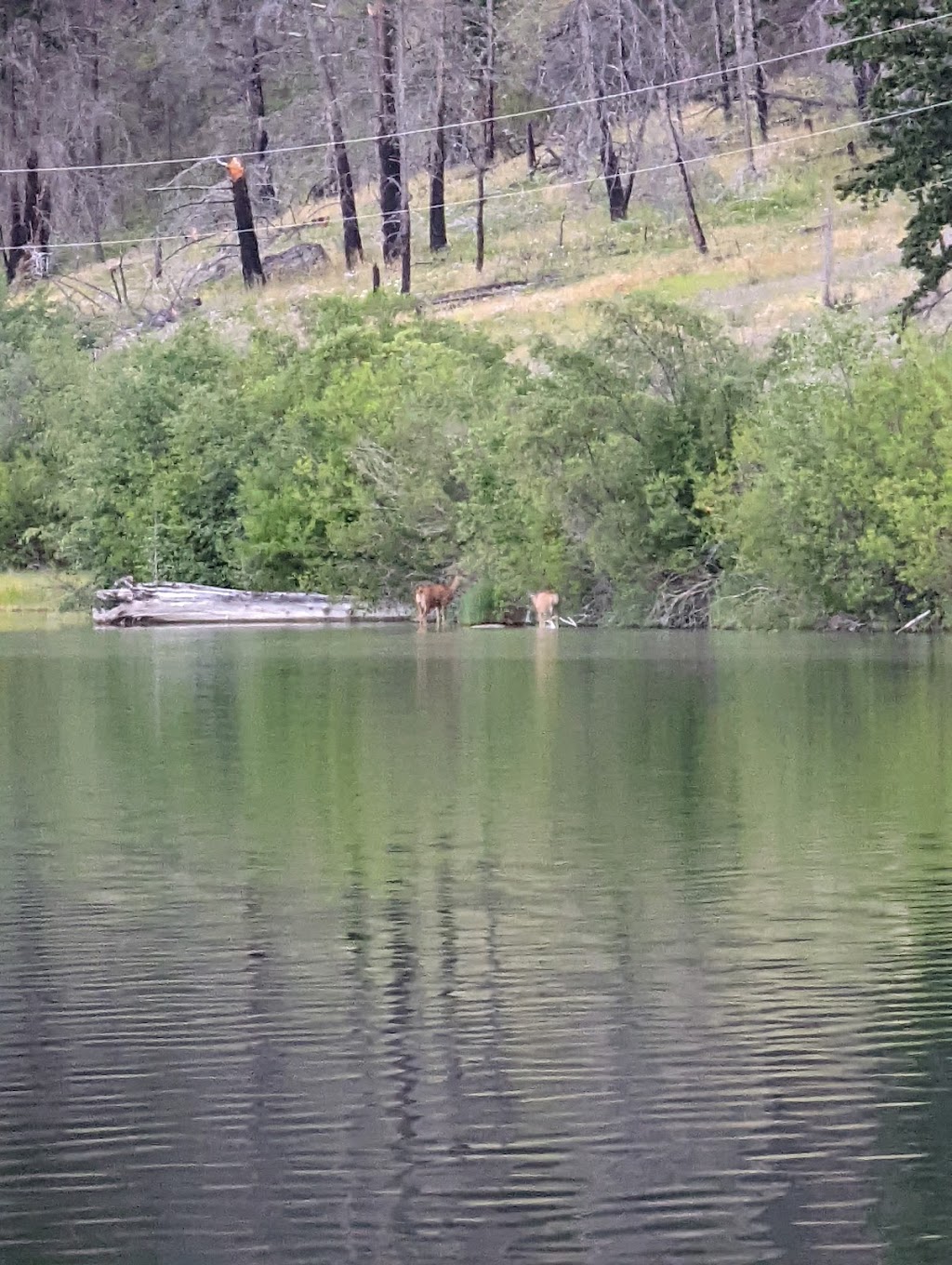 Downing Provincial Park | Pavilion, BC V0K 2H0, Canada | Phone: (250) 320-9305