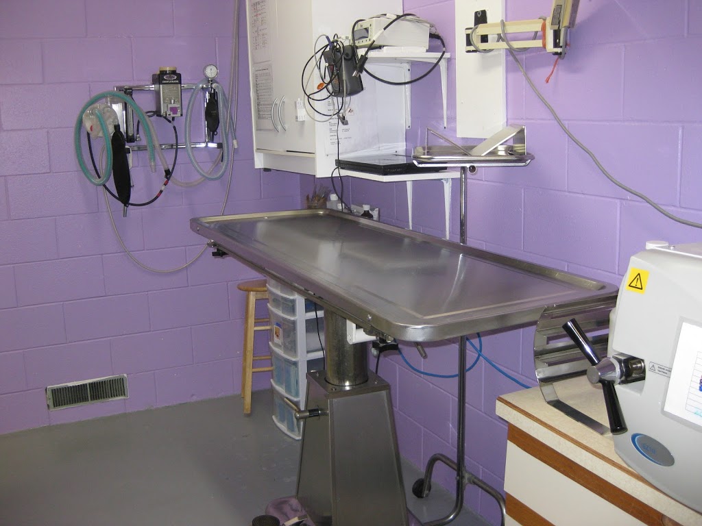 Outlook Veterinary Clinic | 410 Railway Ave, Outlook, SK S0L 2N0, Canada | Phone: (306) 867-8777