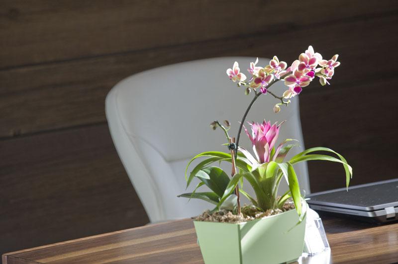 Concierge Dental Group, PLLC | 33 Melrose Rd, Williamsville, NY 14221, USA | Phone: (716) 391-2799