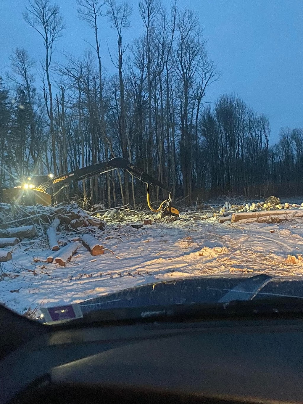 Cranes Land Clearing Ltd. | 1362 Lorne Valley Rd, Cardigan, PE C0A 1G0, Canada | Phone: (902) 218-3134