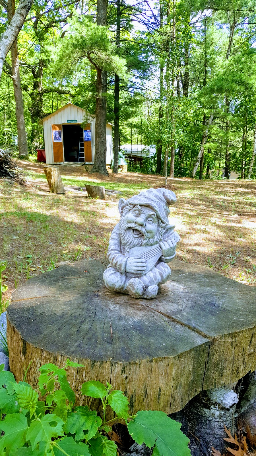 Pinnacle Park Camping | Pinnacle Hill Rd, Grafton, ON K0K 2G0, Canada | Phone: (905) 349-2291