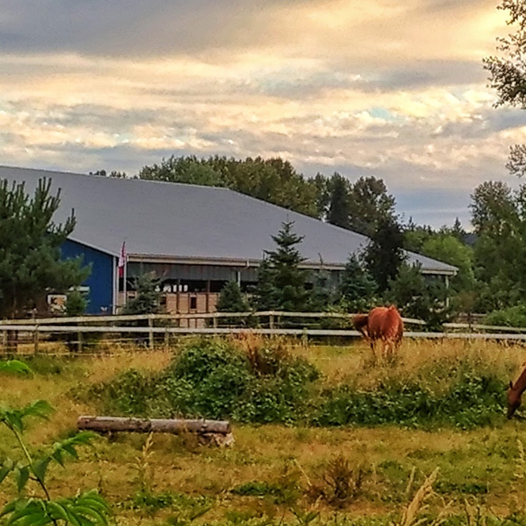 Krystal Creek Riding | 17312 Ford Detour Rd, Pitt Meadows, BC V3Y 0A6, Canada | Phone: (778) 858-5909