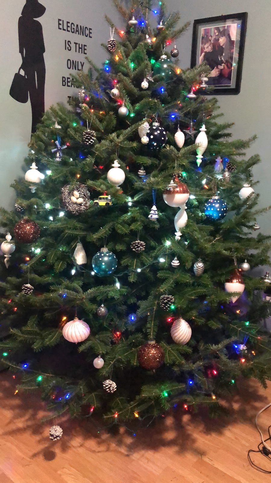Kellys Christmas Tree Farm | 4013 Fort Augustus Rd, Fort Augustus, PE C1A 2Z3, Canada | Phone: (902) 394-2215