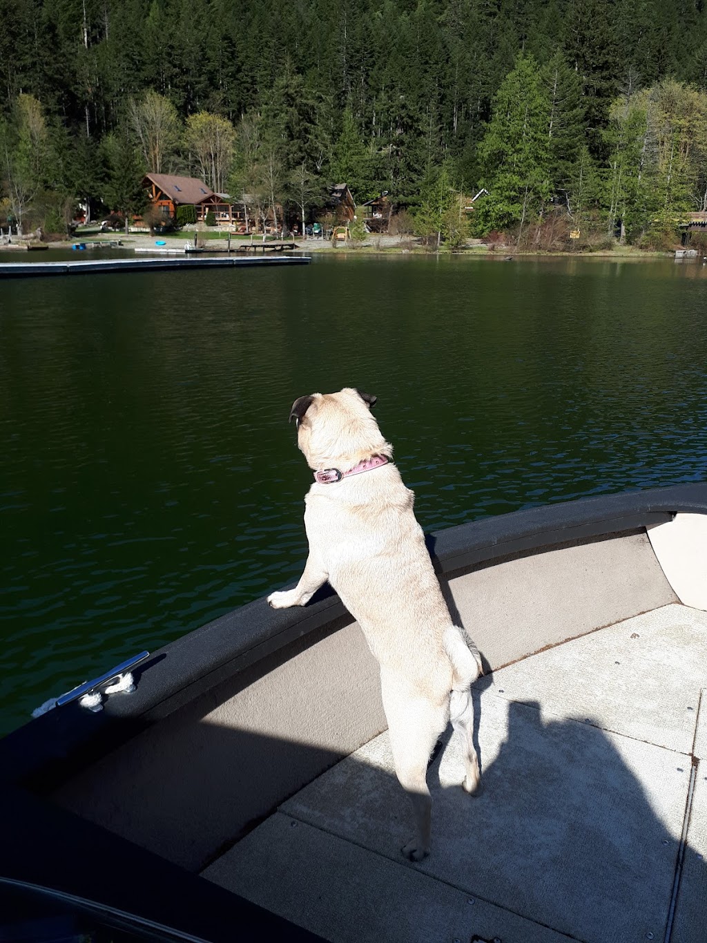 Cameron Lake Resort | Chalet Rd, Qualicum Beach, BC V9K 1S5, Canada | Phone: (250) 752-6707